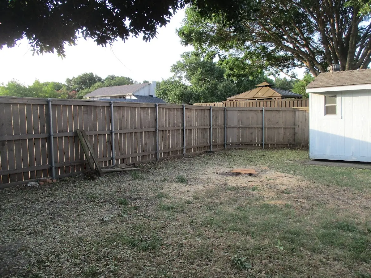 Cleared yard after professional tree removal in Martell